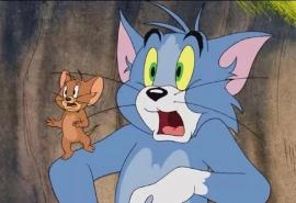 《猫和老鼠》汤姆和杰瑞可爱高清桌面壁纸