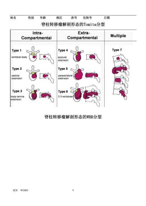脊柱转移瘤tomita评分及是否手术评估