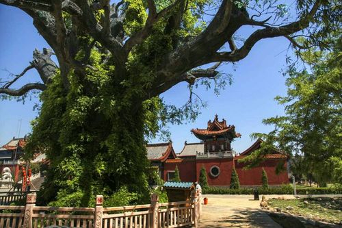 明朝洪武,永乐年间,朝庭在山西洪洞大槐树下设局驻员,向因战争和灾害