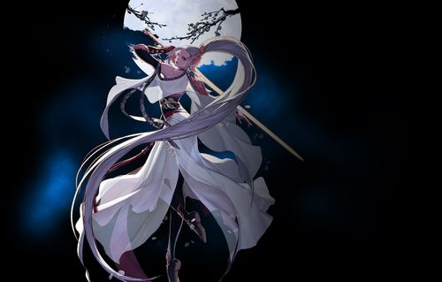 「纯c」 当前版本的剑帝仍然是推荐的第一职业,强势的伤害,高速度