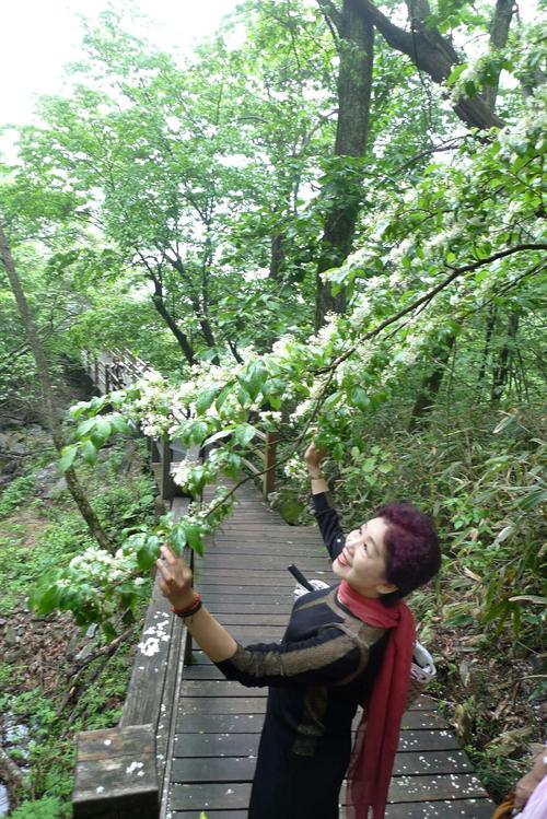 金寨大湾村,马鬃岭之行