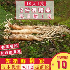 人参鲜土参_人参鲜土参价格_人参鲜土参淘宝天猫货源
