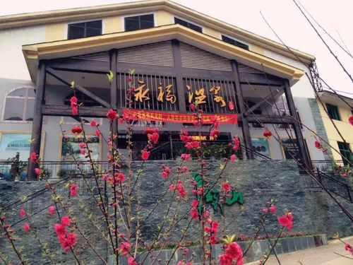 【特价】冬天里最温暖的森林温泉,温泉度假酒店"约泡"去:金钟山温泉