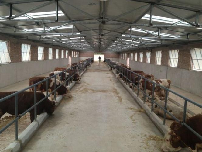 10头牛养牛场牛棚建设规划方案图一