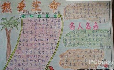 生命起源之谜手抄报 汉字的起源手抄报