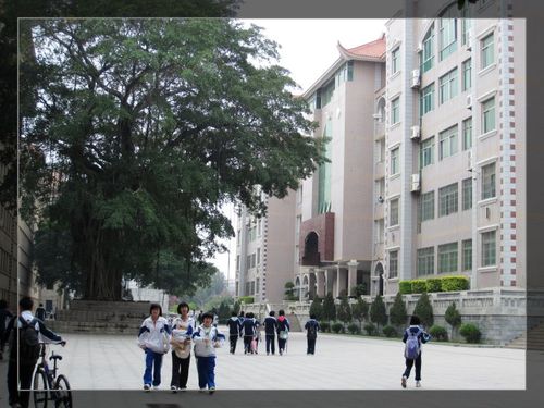 集美中学高中部