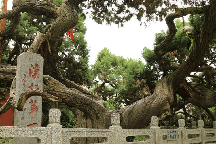 泰山印象——关帝庙