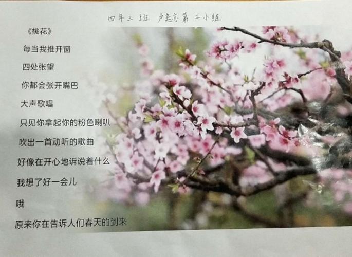 "桃之天天,灼灼其华",桃花盛开时的 姿态美艳而热烈,为春天早早注入一