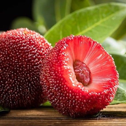 高端水果!杨梅国外卖10元一颗