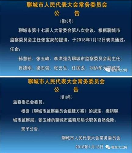 聊城市人大常委会任命3名市监察委员会副主任,5名委员