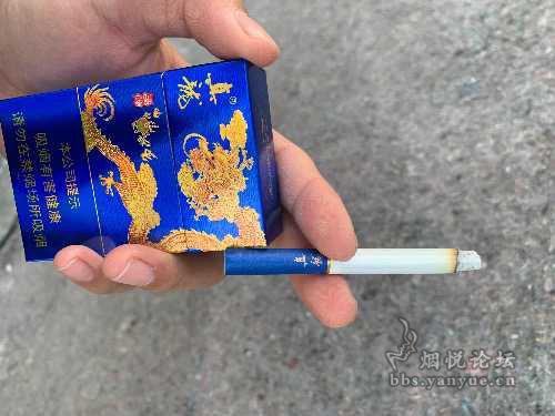 真龙海纳百川 - 香烟品鉴 - 烟悦网论坛