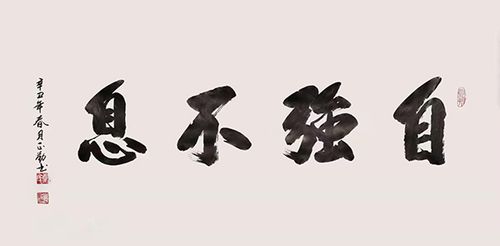 康正勤书法作品《自强不息》