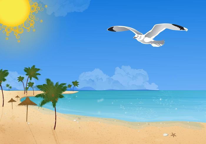 夏季海滩与海鸥