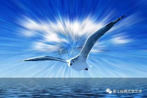 名家朗诵|胡乐民:命运