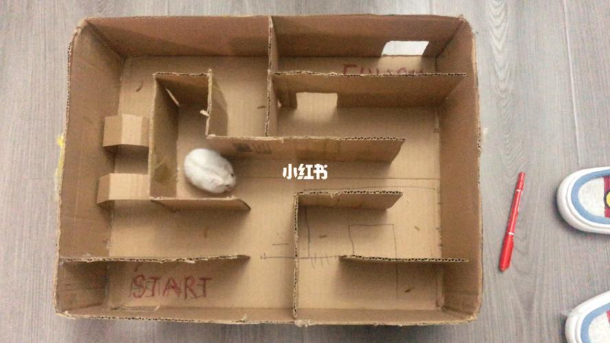 纸箱改造仓鼠小迷宫_仓鼠_仓鼠日常_宠物_宠物其他