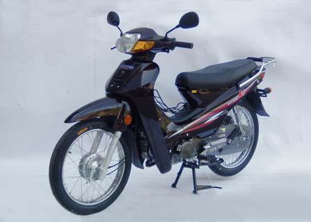 大阳牌dy110-2e型两轮摩托车图片