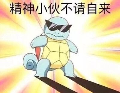 憨八龟表情包