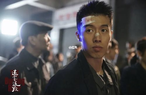 悬疑国产电视剧《迷雾追凶》_电视剧_影视_电视(图文)