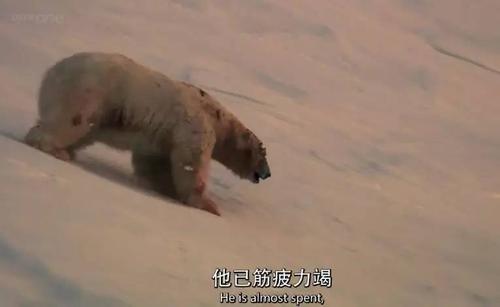 他已筋疲力竭