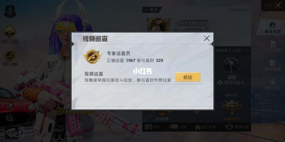 和平精英巡查员_和平精英_龙猫怎么样_游戏_手机游戏