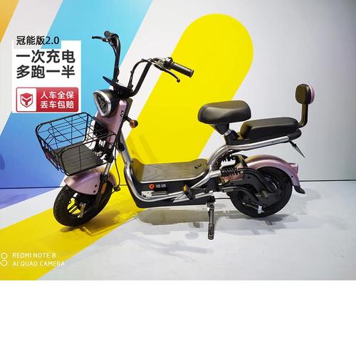 电动车远行外卖石墨续航车长通勤雅迪