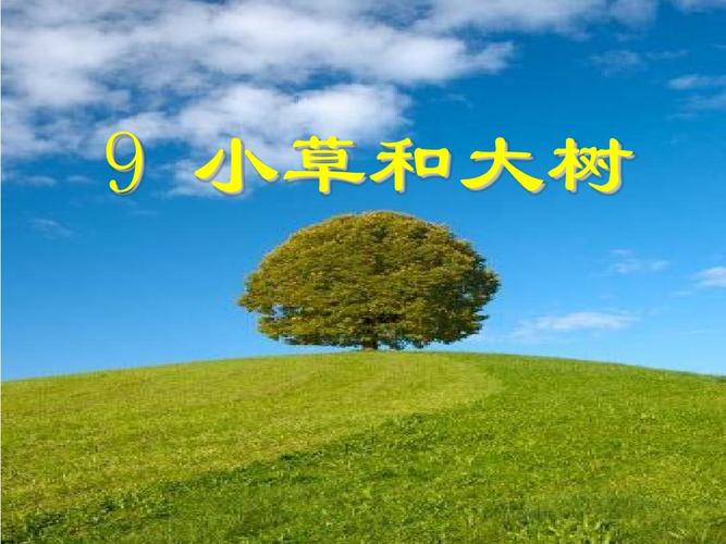 9小草和大树2ppt