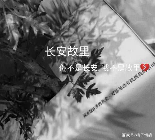 "你这么爱听歌   一定活得很难过吧" "长安故里    你不是长安   我也