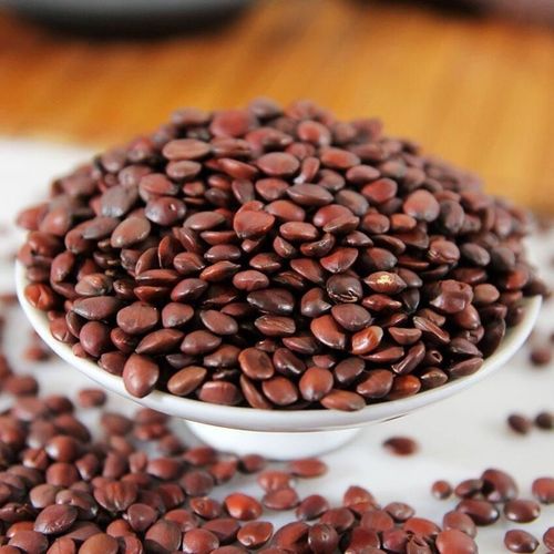 渝逹新货中药材酸枣仁精选熟种植炒酸枣仁中草药 炒酸枣仁100克