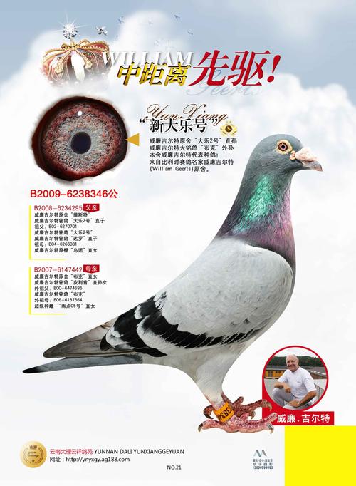 威廉吉尔特"新大乐号"