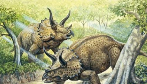 晚白垩纪最著名的恐龙之一三角龙