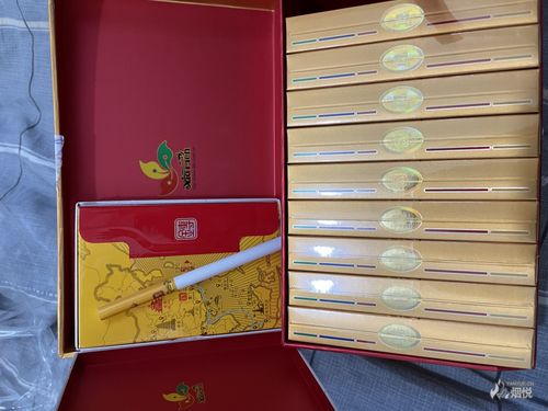 七匹狼金砖中支焕新上市.