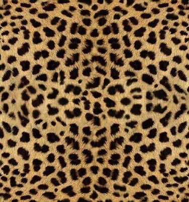 黄色豹纹背景_素材图片免费下载_富图网