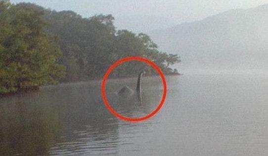 长白山天池水怪到底长什么样它真的存在吗