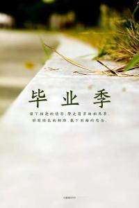 qq头像毕业季小学文字