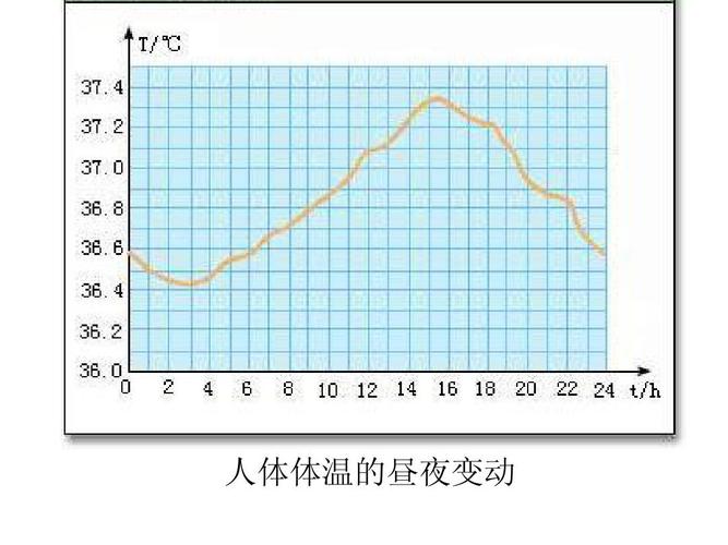 景山学校高中生物课件:血糖平衡,体温调节ppt