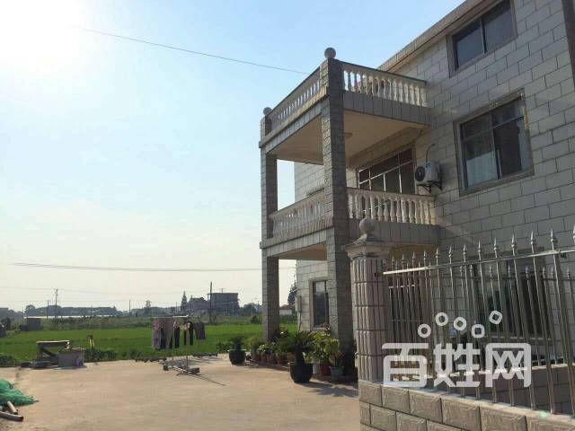 浦东新区书院镇桃园村独栋别墅520平精装