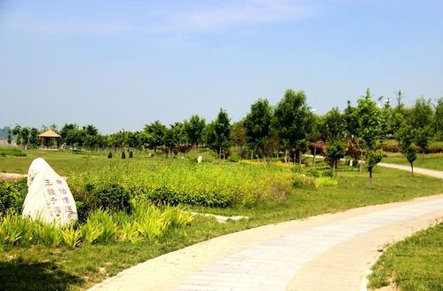 湿地公园图片