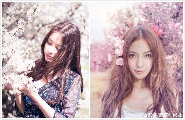 达莎在樱花树下拍摄的写真像极了angelababy的曾在樱花下拍摄的写真.