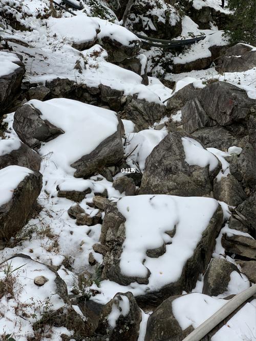 温州旅行:白云山玩雪_度假村_亲子游_农家乐_温州旅行