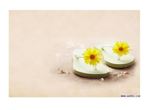 清新素雅又干干净ppt背景图.ppt 41页