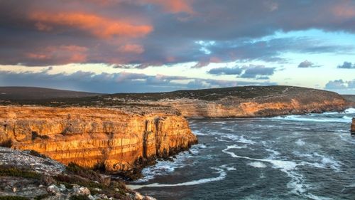 南澳大利亚,艾尔半岛,出发去游猎之旅 08 fran solly 版权所有