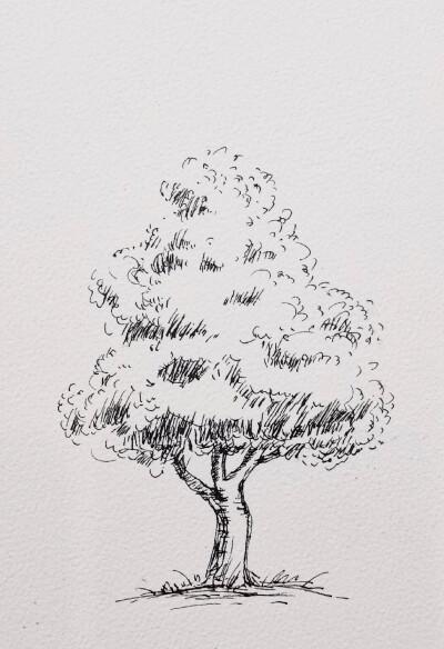 不会画树的同学们可以参考参考qwq 比较简单树的画法