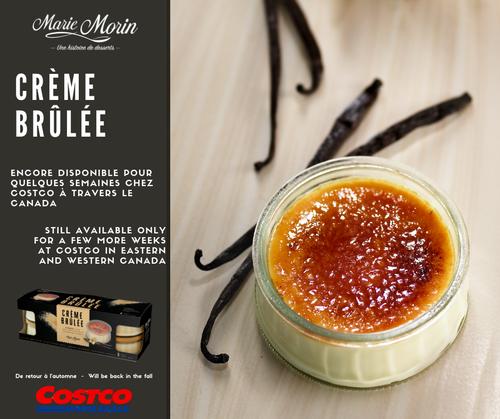cream brulee (法式焦糖布丁)