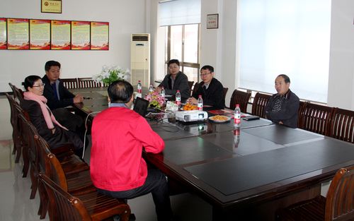 市委常委,市纪委书记李飞同志到崔家集镇调研