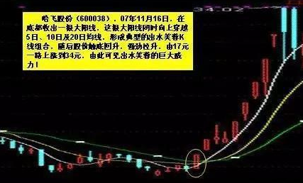 一招蚂蚁上树选股战法堪称价值连城选股法宝