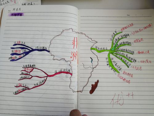 七二班《非洲》思维导图作品集