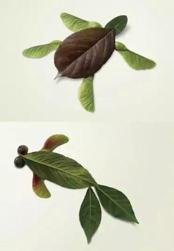 秋天来了,幼儿园作业树叶画,帮你整理好了,周末和孩子