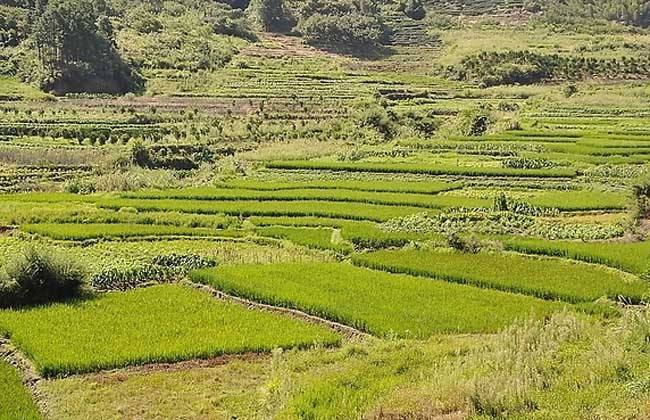 我国农村土地承包经营权如何贷款