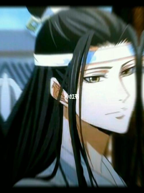 绝美蓝忘机_魔道祖师_蓝忘机_影视_动漫_动漫推荐