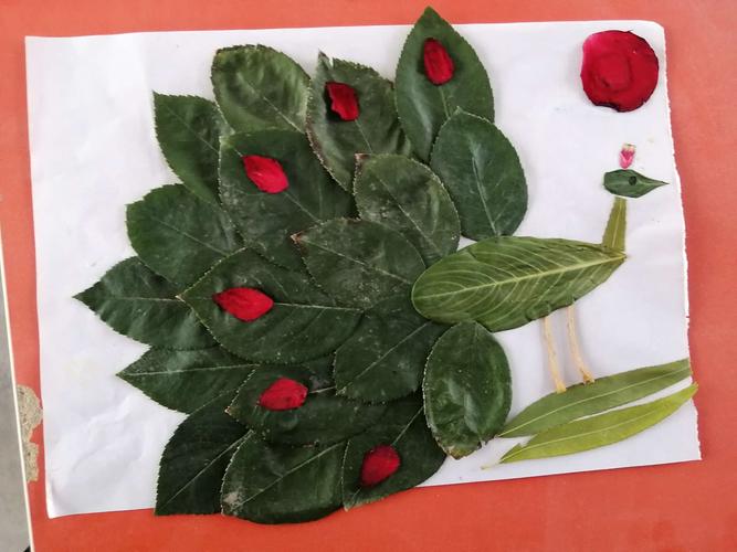 绿色的树叶红色的点缀组成了一只美丽的孔雀